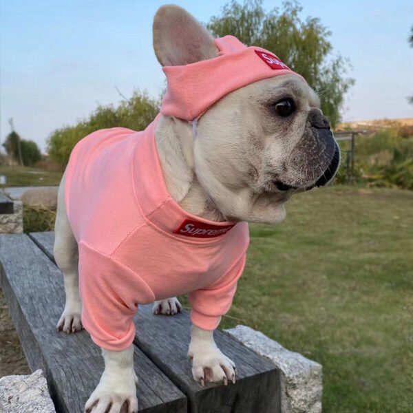 HYGGEPET Pet Clothing Fashion Brand Street Dog Clothing Fadou Teddy Schnauzer Undercoat Hat Set - Image 5