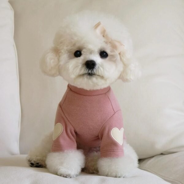 Teddy Bear York Sharberd Velvet Hoodie Pet Love Embroidery Warm Clothes - Image 7