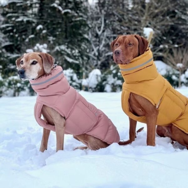 Dog clothing thickened warm waterproof windproof two leg coat pet vest cotton coat - Image 3