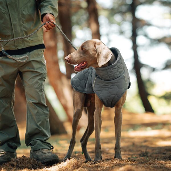 Thick and warm dog clothing outdoor cotton coat vest for winter warmth - Image 4