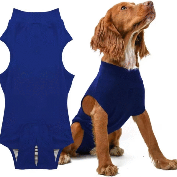 Pet sterilization suit wound anti licking suit suitable for all body types of dogs surgical recovery clothing set ﻿ - Image 5