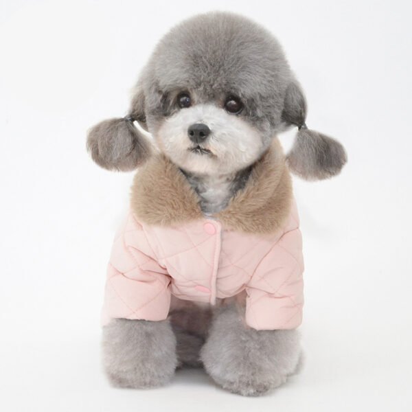 Winter New Pet Cotton Coat Dog Cotton Coat Dog Clothes Pet Clothes Dog Clothes Teddy Clothes - Image 4