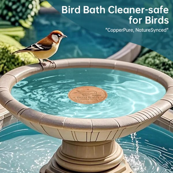 Universal Bird Bath Copper Tray with 3-point Support Purification Plate – for Outdoor Bird Baths & Feeding Bowls - Image 9