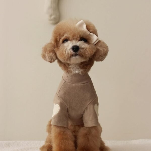 Teddy Bear York Sharberd Velvet Hoodie Pet Love Embroidery Warm Clothes - Image 3
