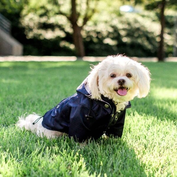 Windproof and rainproof British retro thick dog raincoat dog pet submachine jacket - Image 2