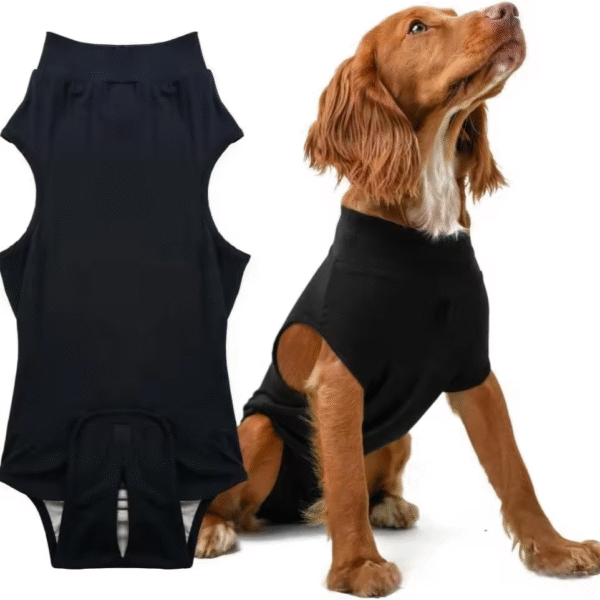 Pet sterilization suit wound anti licking suit suitable for all body types of dogs surgical recovery clothing set ﻿