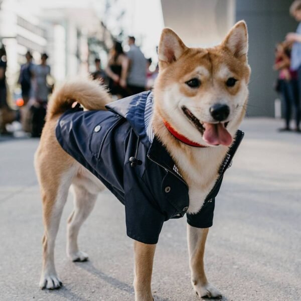 Windproof and rainproof British retro thick dog raincoat dog pet submachine jacket - Image 4