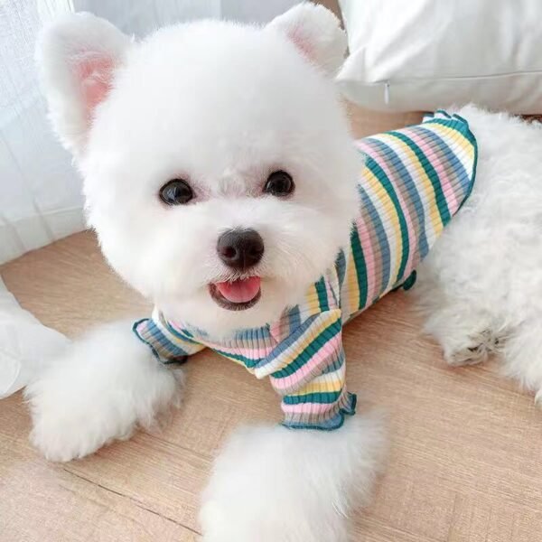 Rainbow Undercoat Dog Clothes Pet Clothes Cat Bears VIP Pomeranian Schnauzer Small Dog Clothes - Image 3