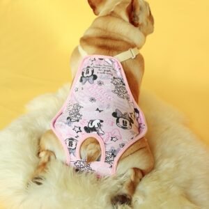 Pet Dog Physiological Pants Aunt Pants corgi