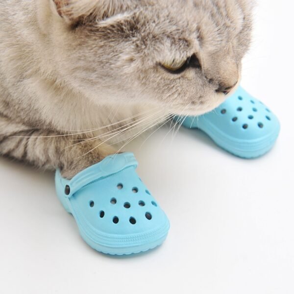 Dog shoes cave shoes beach shoes pet outings dog slippers cat home shoes sandals - Image 8